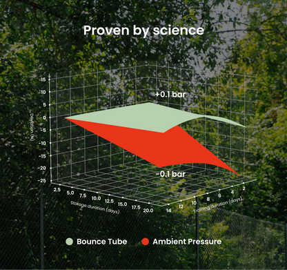 Bounce Tube - Tennis